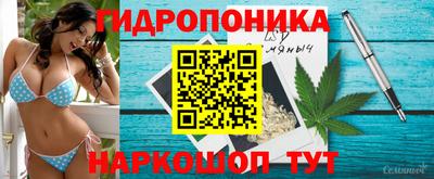 стаф Анапа