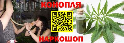 сатива Коммунар
