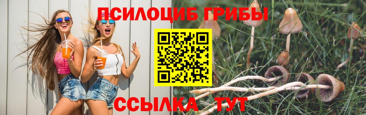 Кисловодск  Псилоцибиновые грибы Cubensis  Вход с VPN 